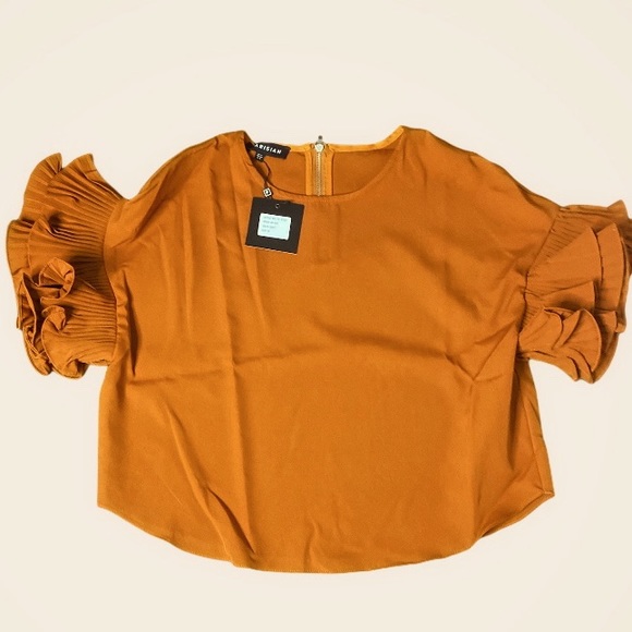 Pleated Detail Ruffle Sleeve Top-Colour-Rust - Picture 3 of 6